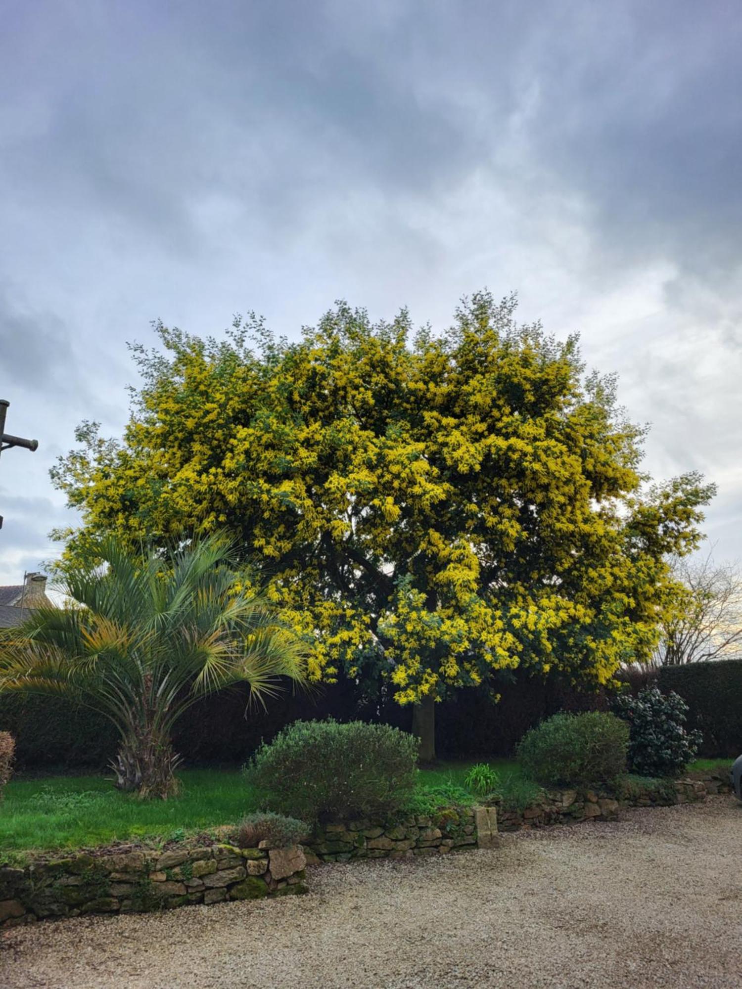 Clos St Ange Vildé-Guingalan エクステリア 写真
